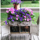 Illustration for article titled 20 Inspiring Flower Planters That Will Bring The Magic Into Your Garden